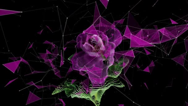 Futuristisk scen med rosa pion blomma tid förfaller på svart bakgrund. Blommande pion blomma är öppen, tiden förfaller, närbild. Bröllopsbakgrund, Alla hjärtans dag koncept. 4K UHD slow motion video — Stockvideo