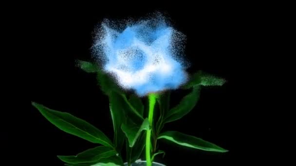 Футуристична сцена з красивим синім півонією. Квітка півонії відкрита, повільний рух 4K UHD відео. Великодня, весна, валентинки день, концепція свята — стокове відео