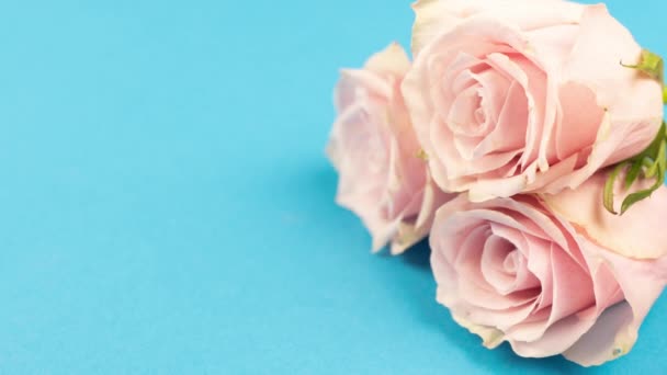 Hermosa apertura peonía rosa sobre fondo azul copia-espacio. Timelapse de flor en flor al aire libre. Fondo de la boda, concepto del amor del día de San Valentín. 4K. — Vídeos de Stock