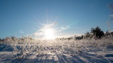 Kış çayırlarında kar ve kar ile kaplı bir kamera hareketi güneşli bir kış günü, güzel kış manzarası, yüksek hız, zaman atlaması. 4k video