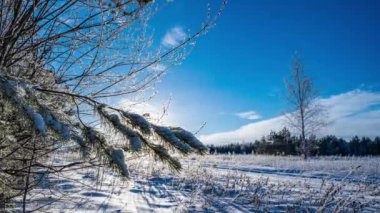 Kış çayırlarında kar ve kar ile kaplı bir kamera hareketi güneşli bir kış günü, güzel kış manzarası, yüksek hız, zaman atlaması. 4k video.