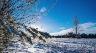 Kış çayırlarında kar ve kar ile kaplı bir kamera hareketi güneşli bir kış günü, güzel kış manzarası, yüksek hız, zaman atlaması. 4k video