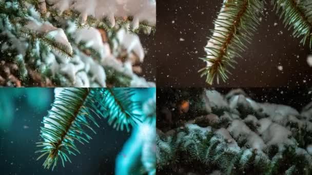 Collage vidéo neige tombant sur les branches des sapins. La neige tombe de la branche de pin dans une forêt. Mouvement lent — Video