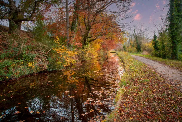 Última Las Hojas Otoño Monmouthshire Canal Brecon Gales Del Sur — Foto de Stock
