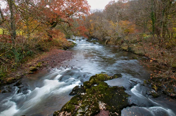 Řeka Tawe Konci Podzimu Horním Swansea Valley Jižním Walesu — Stock fotografie