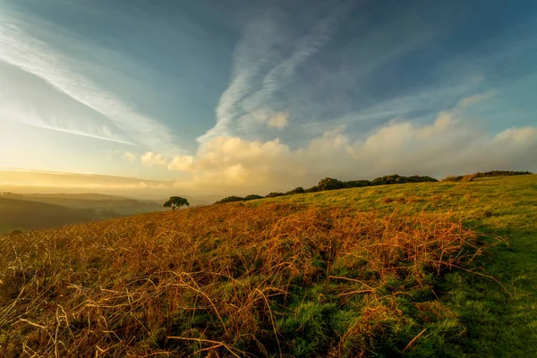 Tarde Twyn Gaer Sitio Fuerte Edad Del Hierro Mynydd Illtud — Foto de Stock