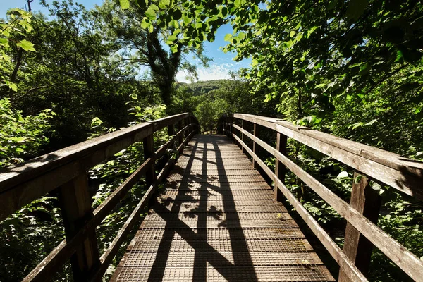 Old Wooden Footbridge Rive Tawe Upper Swansea Valley South Wales — Foto de Stock