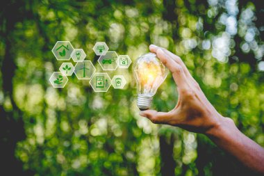 Yenilenebilir enerji kaynakları, doğal enerji ve dünya konsepti için ikonlar içeren el ele tutuşan ampul.