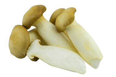 Taze Eringii Mantarı beyaz arka planda izole edildi. tam alan derinliği