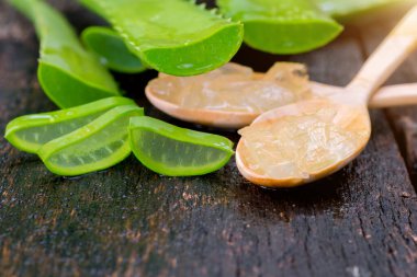 Aloe Vera tahta kaşık üzerinde ahşap masa üzerinde bir sürü kullanışlı ot var..