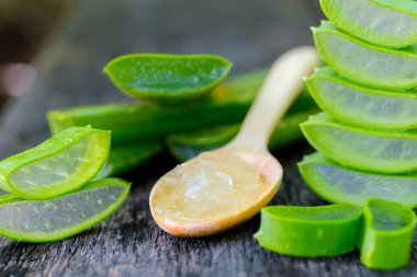 Aloe Vera tahta kaşık üzerinde ahşap masa üzerinde bir sürü kullanışlı ot var..