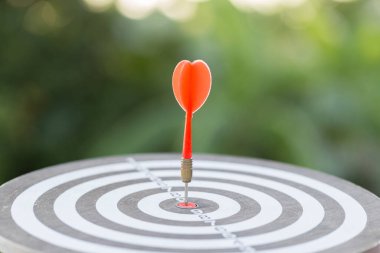 Red Dart hedef okları hedef kitle pazarlama ve iş başarısı konsepti ile hedef alınıyor.