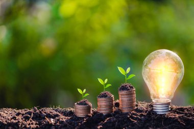 Ampul, madeni para yığını, yenilenebilir enerji kaynakları, doğal enerji ve dünya konseptini sevmek.