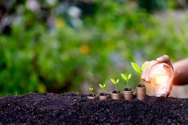 Hand Hält Glühbirne Energiequellen Für Erneuerbare Natürliche Energie Und Liebe — Stockfoto