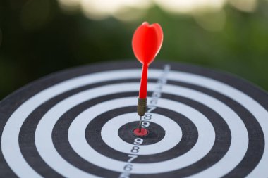 Red Dart hedef okları hedef kitle pazarlama ve iş başarısı konsepti ile hedef alınıyor.