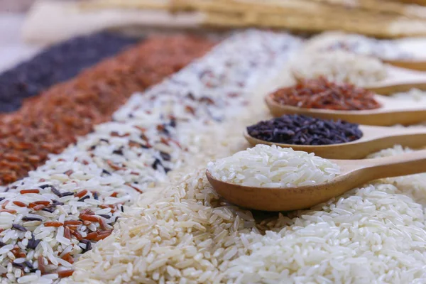 Five Kinds Rice Wooden Spoon — Foto de Stock