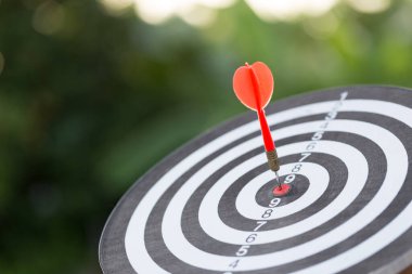 Red Dart hedef okları hedef kitle pazarlama ve iş başarısı konsepti ile hedef alınıyor.