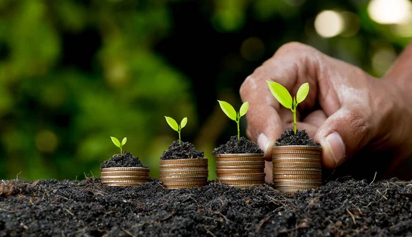 Рука Розміщує Монети Монетах Графік Зростання Зеленим Фоном Боке Інвестиційна — стокове фото