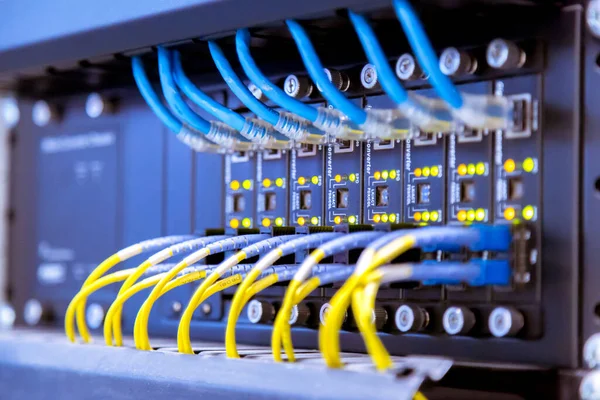 Ağ anahtarı ve ethernet kabloları, Veri Merkezi Konsepti.