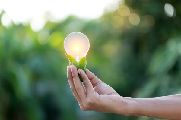 Hand Holding Light Bulb Energy Sources Renewable Natural Energy Concept — Stock Photo, Image
