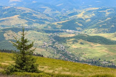Önünde bir ağaç ve uzak bir köyü olan dağ manzarası