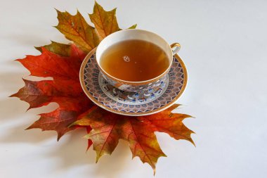 Akçaağaç yapraklı bir fincan çay.