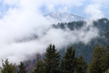 Güzel sonbahar dağ manzarası Dağlarda orman ve sis