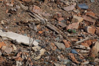 Eski, terk edilmiş, yıkılan bir ev. Geçen yüzyılda bir tüccar ya da toprak sahibinin eviydi..
