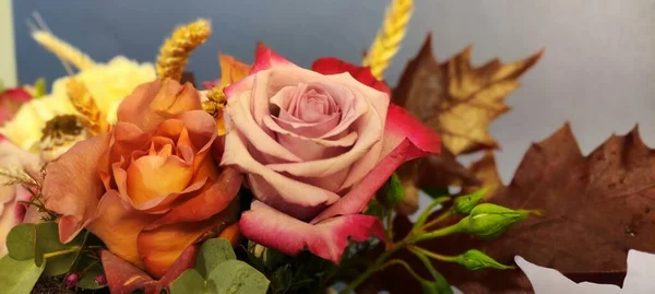 Flores Ramos Siempre Hermosos Rosas Crisantemos Para Buen Humor — Foto de Stock