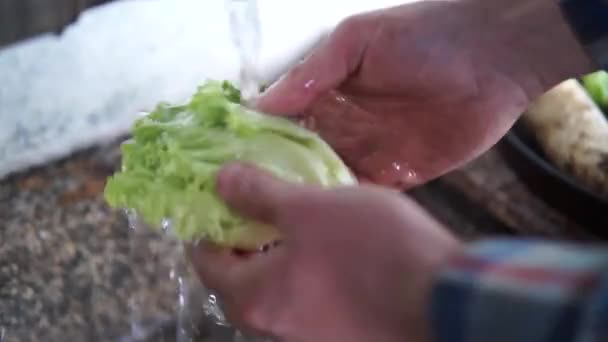 昔ながらの流しでレタスの葉を洗う — ストック動画