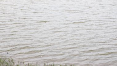 Dalgalarda yüzen göl suyu