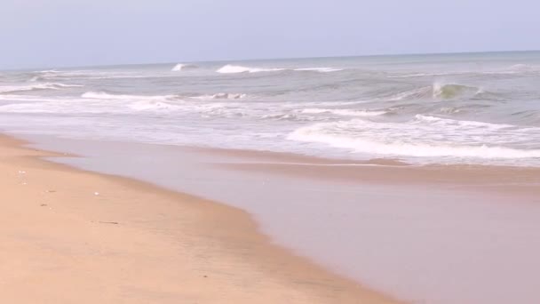 ビーチマージン海の波が上昇し わずかに高くなり 美しいです — ストック動画