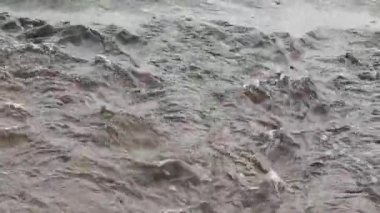 Kesinlik akışı. Temiz su. Bakmak çok güzel.