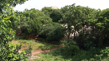 Yeşil mozaiğe benzeyen ağaçların olduğu güzel bir manzara.