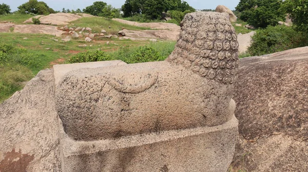 타마라 Tharamaraja Stone Throne 조각된 커다란 직사각 왕좌이다 자연미를 뒷모습 — 스톡 사진
