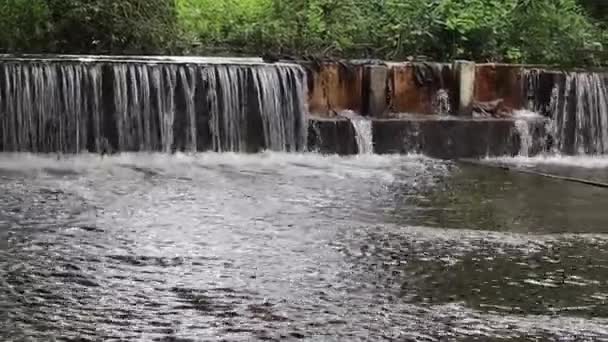호수에서 흘러나오는 의물을 아름다운 일이다 — 비디오