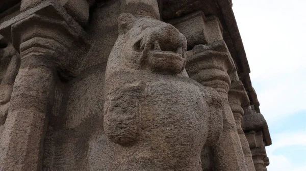 Статуя Льва Форме Храма Олакканнешвары Вырезана Скальной Стене Каменная Стена — стоковое фото