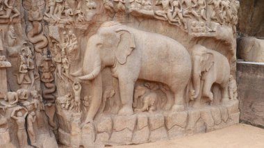 Arjuna 'nın Mahabalipuram' daki kefareti olarak da bilinen Ganj soyu Asya 'nın en büyük kaya kabartmalarından biridir ve birçok Hindu yazıtında yer almaktadır..