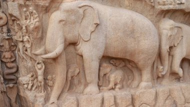 Arjuna 'nın Mahabalipuram' daki kefareti olarak da bilinen Ganj soyu Asya 'nın en büyük kaya kabartmalarından biridir ve birçok Hindu yazıtında yer almaktadır..