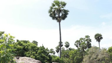 Güzel manzara ve mavi gökyüzü