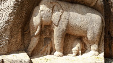Kayaya oyulmuş tamamlanmamış bir tavus kuşu heykeli var. Kaya arka planda yer alıyor.