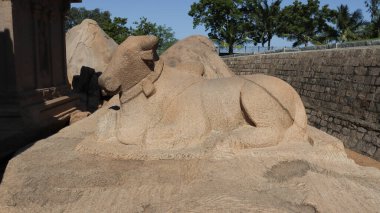 Taşa oyulmuş bir boğa. Kaya ve doğanın ortasında.