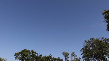 Güzel doğa. Ve mavi gökyüzünün arkaplanı.