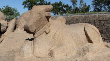 Taşa oyulmuş bir boğa. Tamamlanmamış. Kaya ve doğanın ortasında.