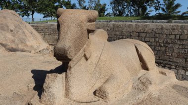 Taşa oyulmuş bir boğa. Tamamlanmamış. Kaya ve doğanın ortasında.
