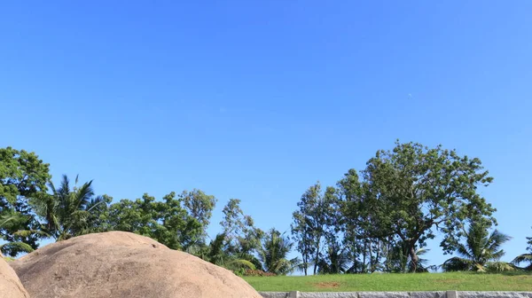 Güzel yeşil doğa manzarası. Mavi gökyüzü