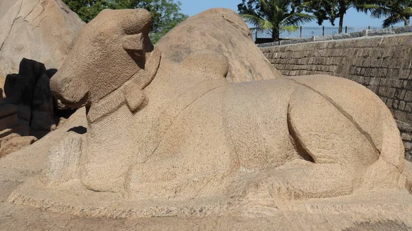 Taşa oyulmuş bir boğa. Kaya ve doğanın ortasında.