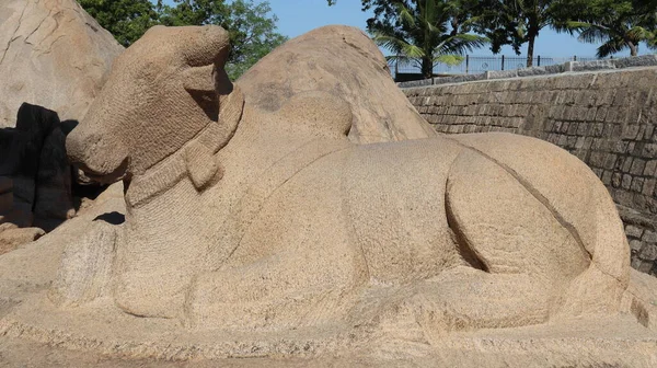 Bull Carved Stone Middle Rock Nature — 图库照片