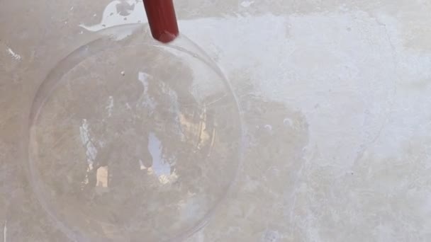 ホースを石鹸水に吹いたときに形成される泡 泡が作る — ストック動画