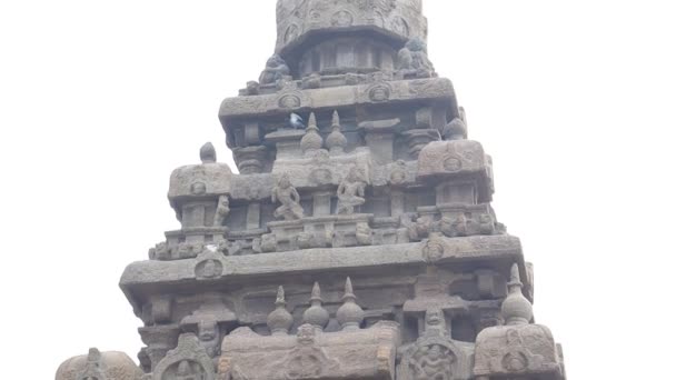 石の寺はビーチ寺です 石に刻まれた古代 上から下へ マハーバリプラム — ストック動画
